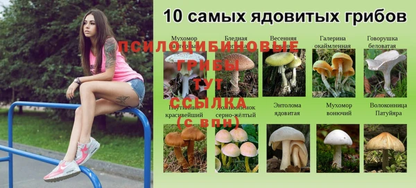 COCAINE Армянск