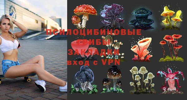 дурь Аркадак