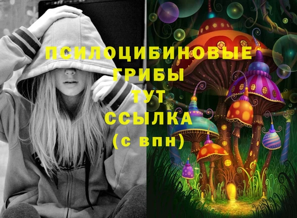дурь Аркадак