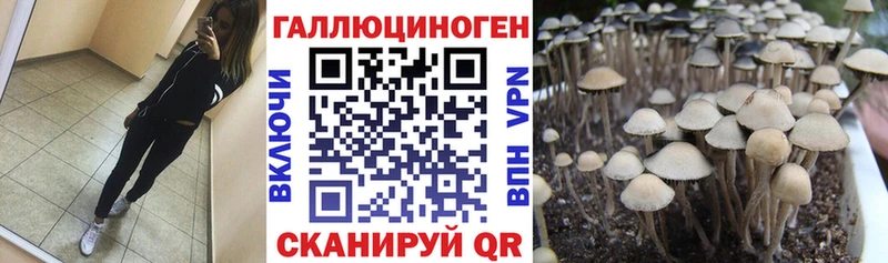 Галлюциногенные грибы Cubensis  цена   мориарти наркотические препараты  Снежногорск 